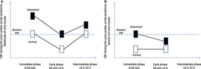 Alterations in Cerebral Blood Flow after Resuscitation from Cardiac Arrest